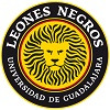LEONES N.